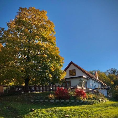 Ferienhaus Koller Güssing Екстериор снимка
