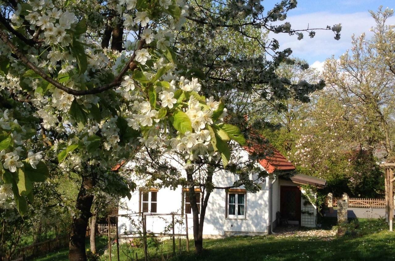 Ferienhaus Koller Güssing Екстериор снимка